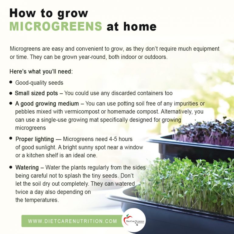 Microgreens The Nutritional Power Bombs