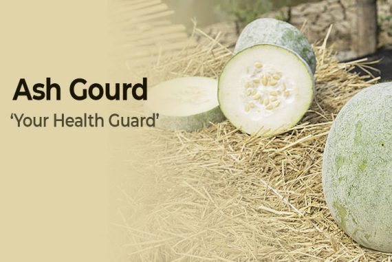 Ash Gourd Your Health Guard