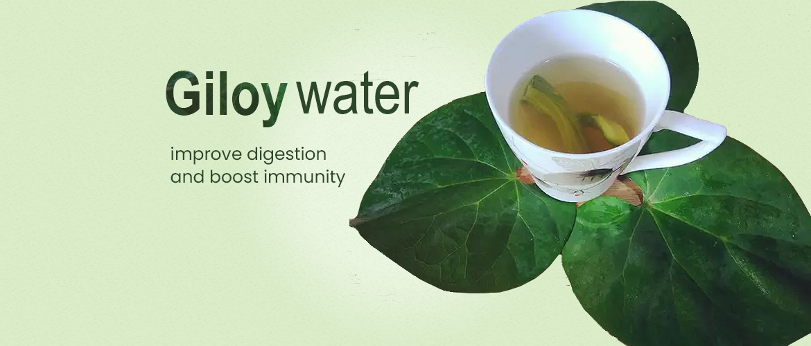 Giloy water